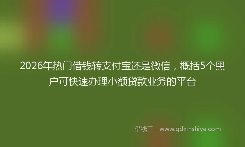 2026年热门借钱转支付宝还是微信，概括5个黑户可快速办理小额贷款业务的平台