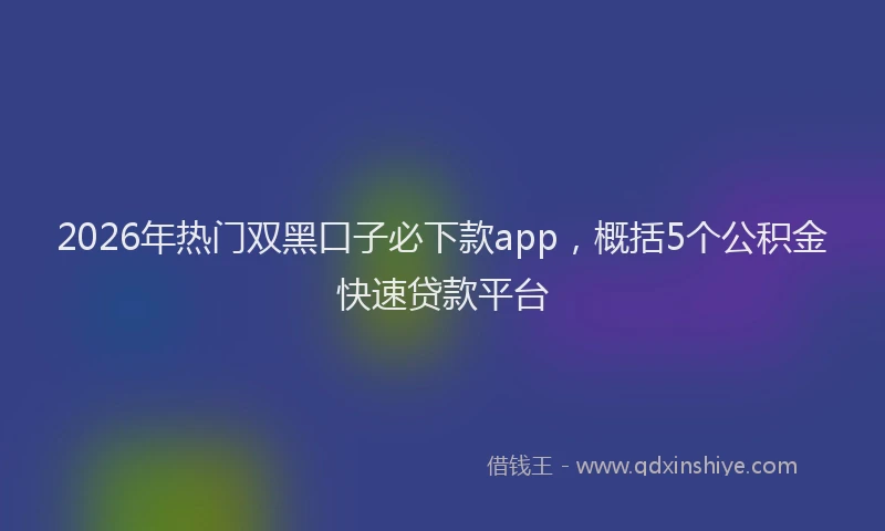 2026年热门双黑口子必下款app，概括5个公积金快速贷款平台