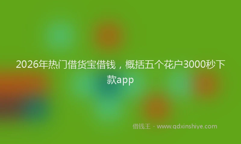 2026年热门借货宝借钱，概括五个花户3000秒下款app