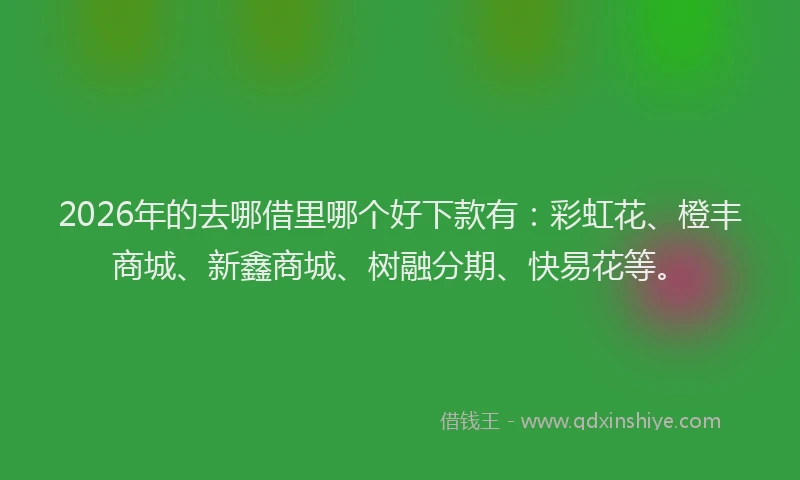 2026年的去哪借里哪个好下款有：彩虹花、橙丰商城、新鑫商城、树融分期、快易花等。
