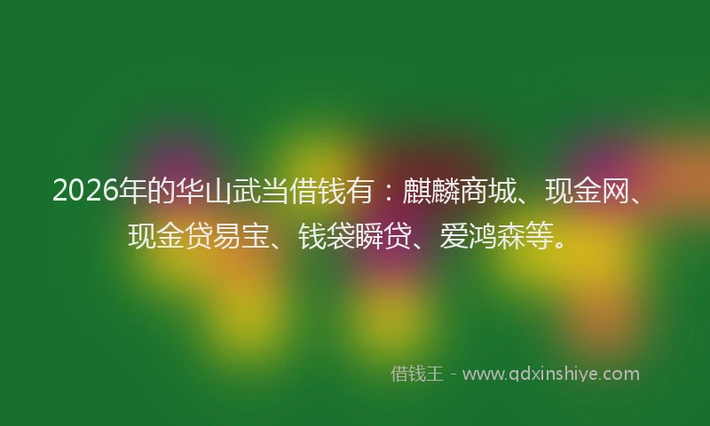 2026年的华山武当借钱有：麒麟商城、现金网、现金贷易宝、钱袋瞬贷、爱鸿森等。