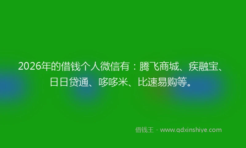 2026年的借钱个人微信有：腾飞商城、疾融宝、日日贷通、哆哆米、比速易购等。