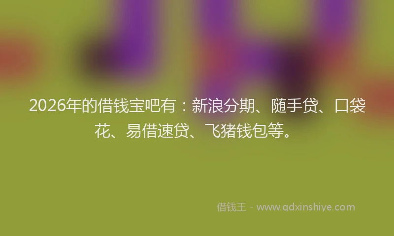 2026年的借钱宝吧有：新浪分期、随手贷、口袋花、易借速贷、飞猪钱包等。