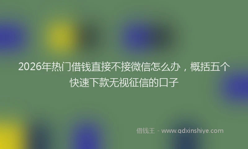 2026年热门借钱直接不接微信怎么办，概括五个快速下款无视征信的口子