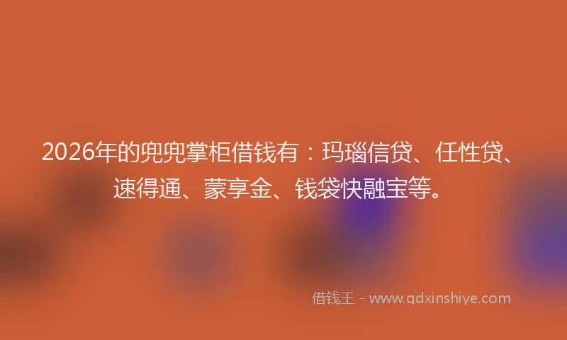 2026年的兜兜掌柜借钱有：玛瑙信贷、任性贷、速得通、蒙享金、钱袋快融宝等。