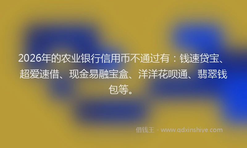 2026年的农业银行信用币不通过有：钱速贷宝、超爱速借、现金易融宝盒、洋洋花呗通、翡翠钱包等。