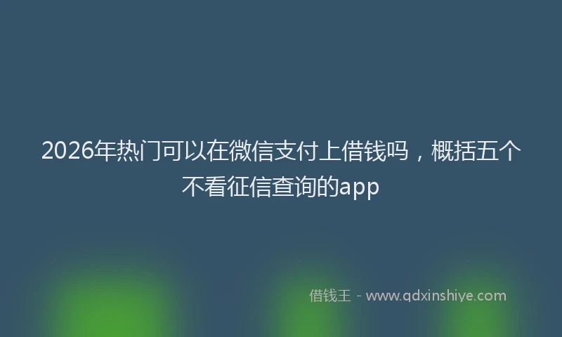 2026年热门可以在微信支付上借钱吗，概括五个不看征信查询的app