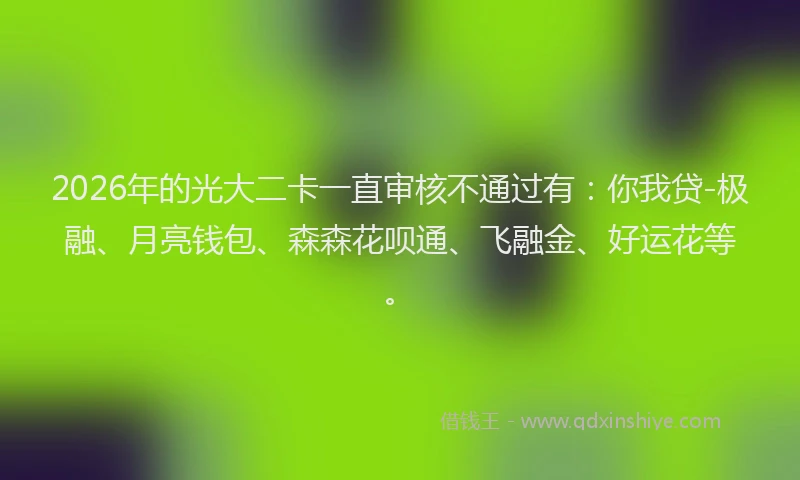 2026年的光大二卡一直审核不通过有：你我贷-极融、月亮钱包、森森花呗通、飞融金、好运花等。