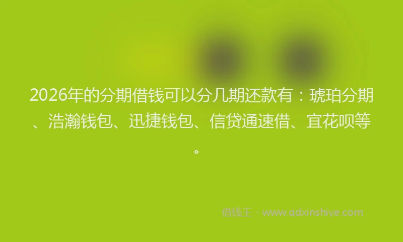 2026年的分期借钱可以分几期还款有：琥珀分期、浩瀚钱包、迅捷钱包、信贷通速借、宜花呗等。