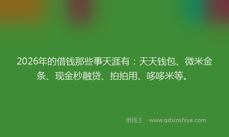2026年的借钱那些事天涯有：天天钱包、微米金条、现金秒融贷、拍拍用、哆哆米等。