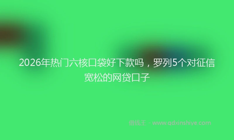 2026年热门六核口袋好下款吗，罗列5个对征信宽松的网贷口子