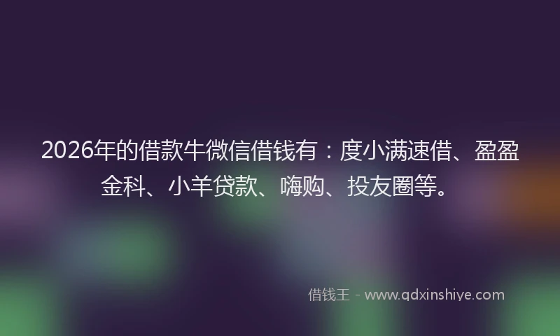 2026年的借款牛微信借钱有：度小满速借、盈盈金科、小羊贷款、嗨购、投友圈等。