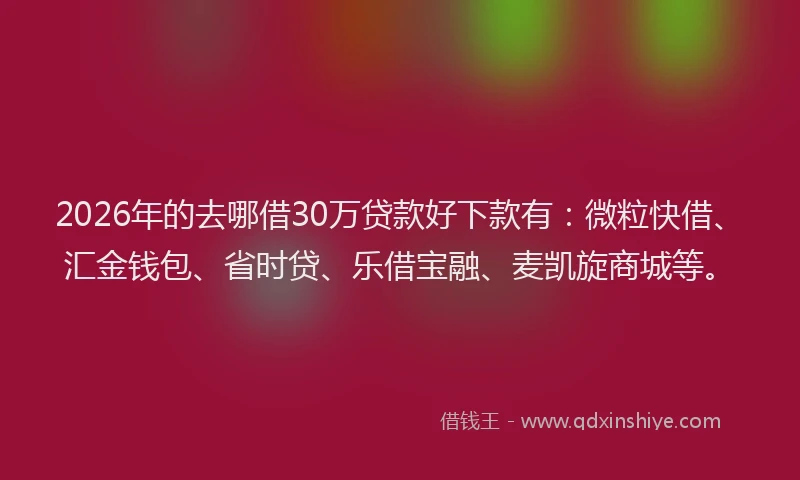 2026年的去哪借30万贷款好下款有：微粒快借、汇金钱包、省时贷、乐借宝融、麦凯旋商城等。