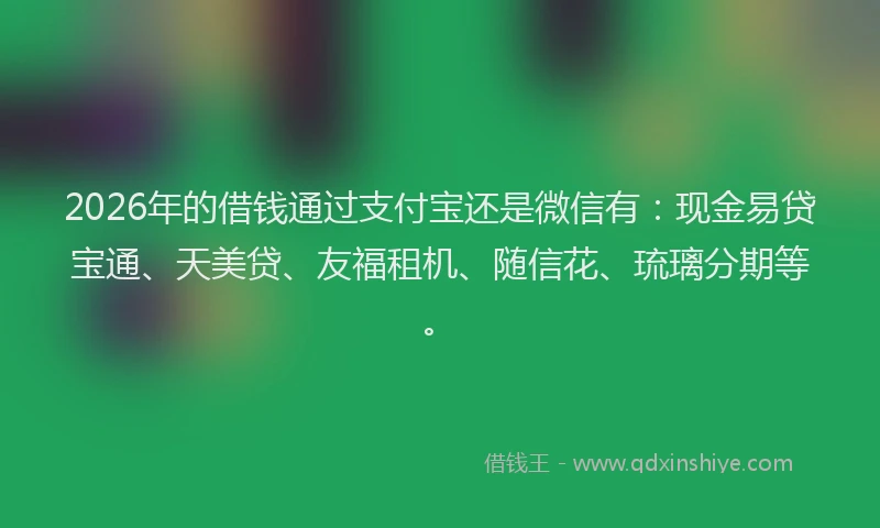 2026年的借钱通过支付宝还是微信有：现金易贷宝通、天美贷、友福租机、随信花、琉璃分期等。