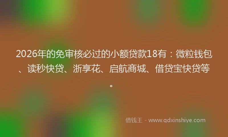 2026年的免审核必过的小额贷款18有：微粒钱包、读秒快贷、浙享花、启航商城、借贷宝快贷等。