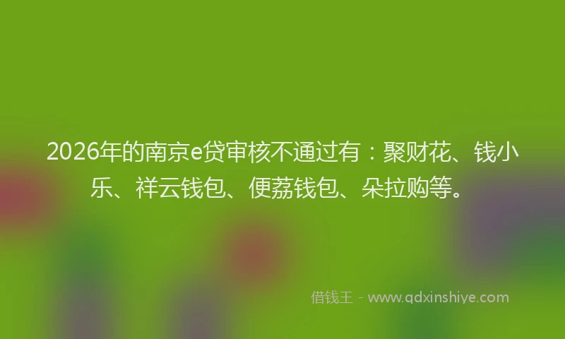 2026年的南京e贷审核不通过有：聚财花、钱小乐、祥云钱包、便荔钱包、朵拉购等。