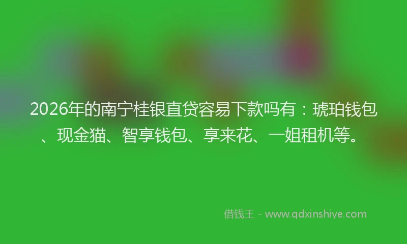 2026年的南宁桂银直贷容易下款吗有：琥珀钱包、现金猫、智享钱包、享来花、一姐租机等。