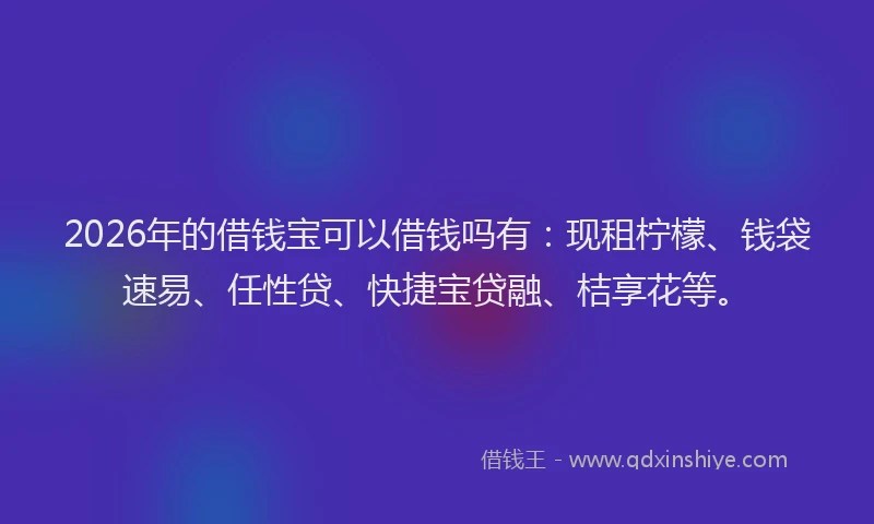2026年的借钱宝可以借钱吗有：现租柠檬、钱袋速易、任性贷、快捷宝贷融、桔享花等。