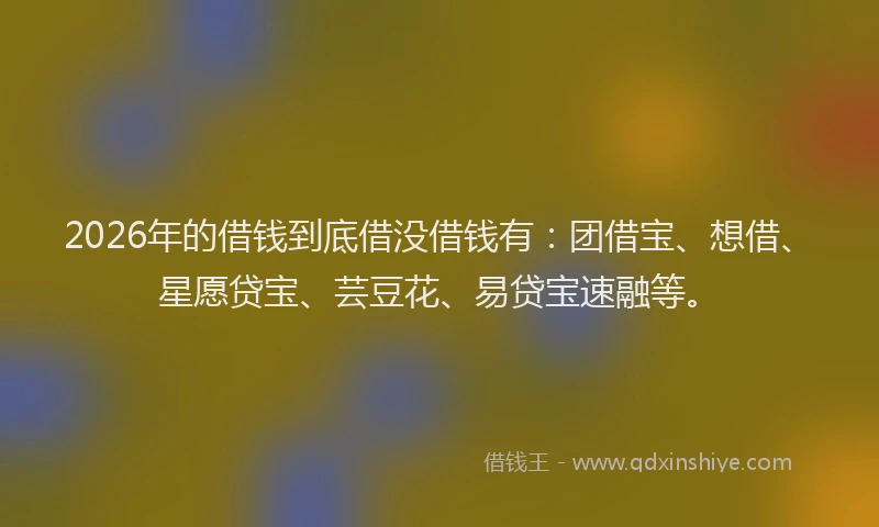 2026年的借钱到底借没借钱有：团借宝、想借、星愿贷宝、芸豆花、易贷宝速融等。