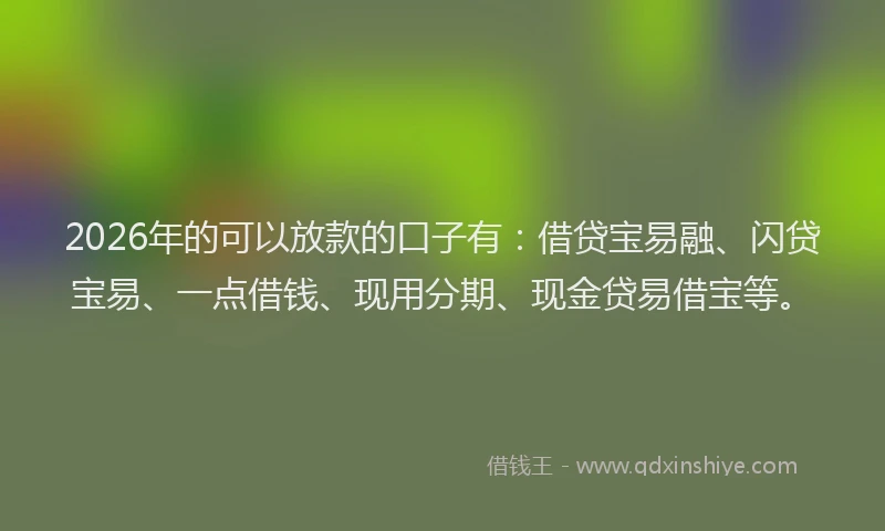 2026年的可以放款的口子有：借贷宝易融、闪贷宝易、一点借钱、现用分期、现金贷易借宝等。