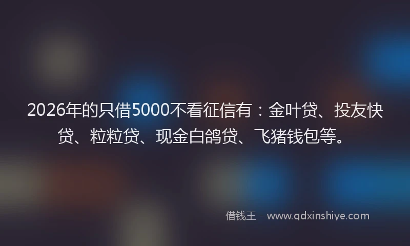 2026年的只借5000不看征信有：金叶贷、投友快贷、粒粒贷、现金白鸽贷、飞猪钱包等。