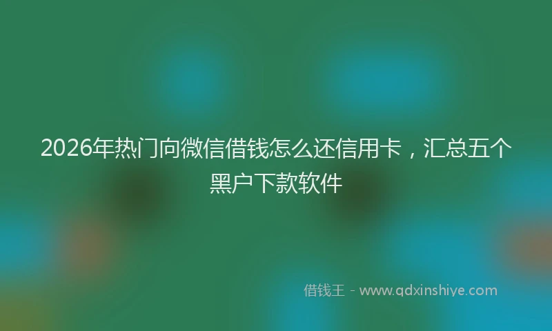 2026年热门向微信借钱怎么还信用卡，汇总五个黑户下款软件
