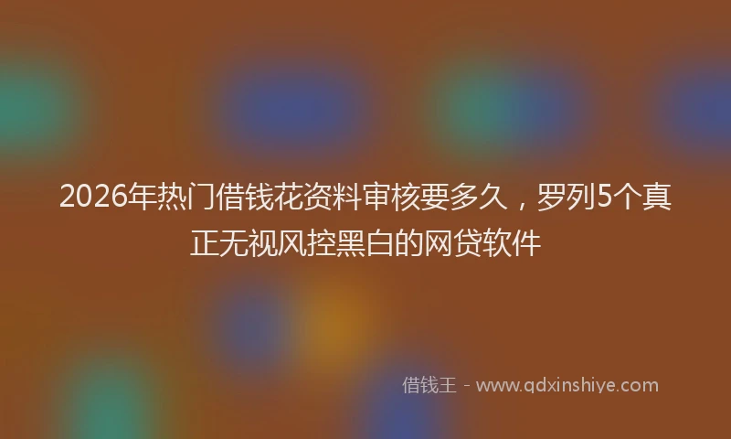 2026年热门借钱花资料审核要多久，罗列5个真正无视风控黑白的网贷软件