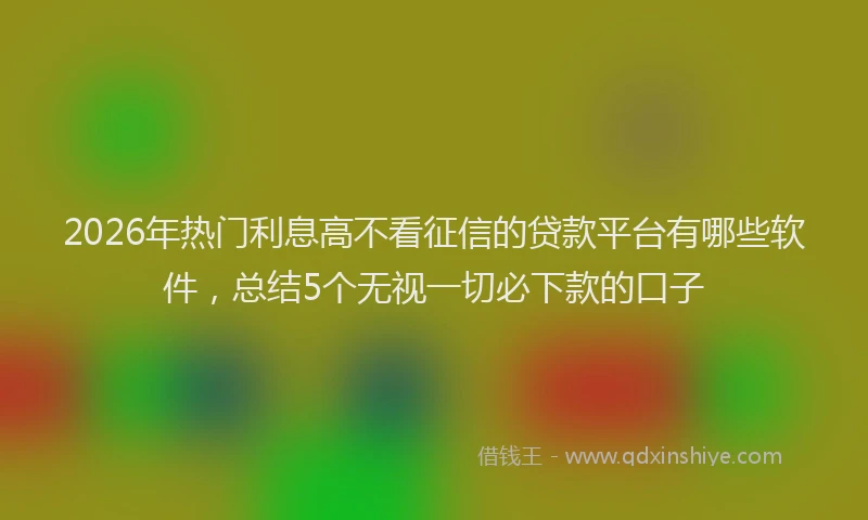 2026年热门利息高不看征信的贷款平台有哪些软件，总结5个无视一切必下款的口子