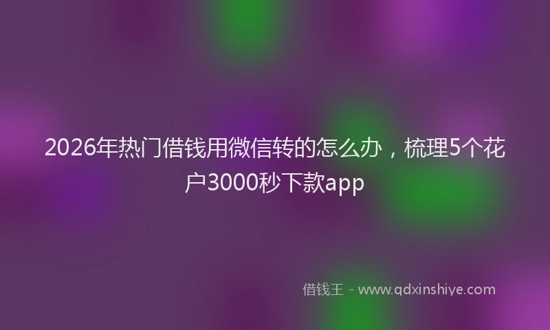 2026年热门借钱用微信转的怎么办，梳理5个花户3000秒下款app