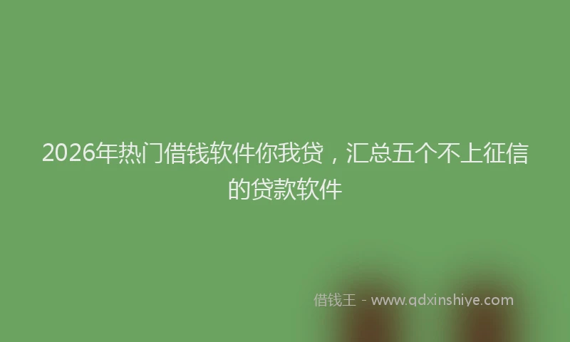 2026年热门借钱软件你我贷，汇总五个不上征信的贷款软件