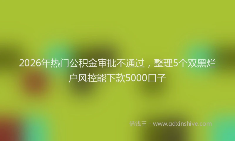 2026年热门公积金审批不通过，整理5个双黑烂户风控能下款5000口子
