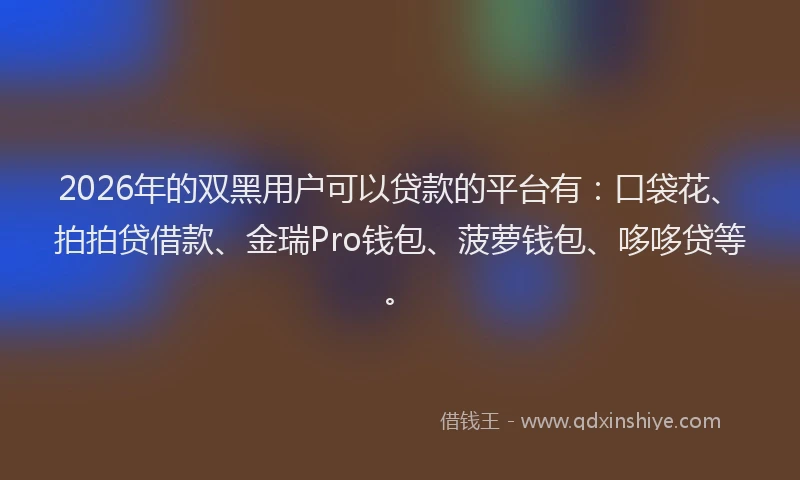2026年的双黑用户可以贷款的平台有：口袋花、拍拍贷借款、金瑞Pro钱包、菠萝钱包、哆哆贷等。