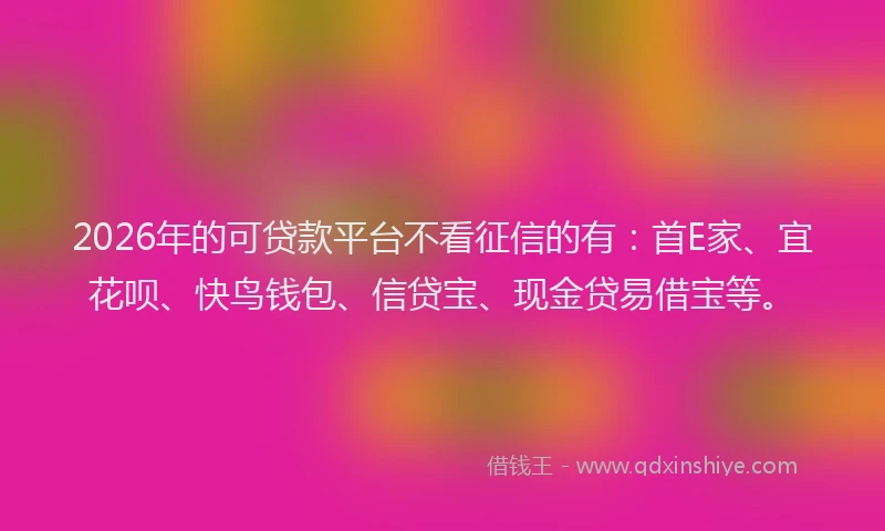 2026年的可贷款平台不看征信的有：首E家、宜花呗、快鸟钱包、信贷宝、现金贷易借宝等。