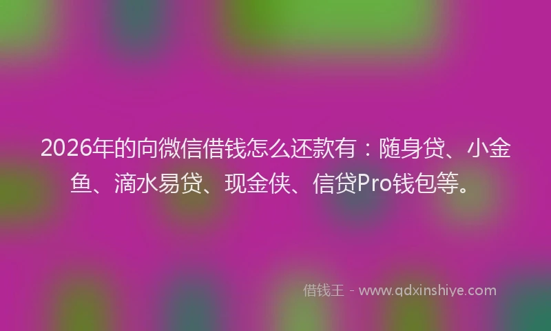 2026年的向微信借钱怎么还款有：随身贷、小金鱼、滴水易贷、现金侠、信贷Pro钱包等。