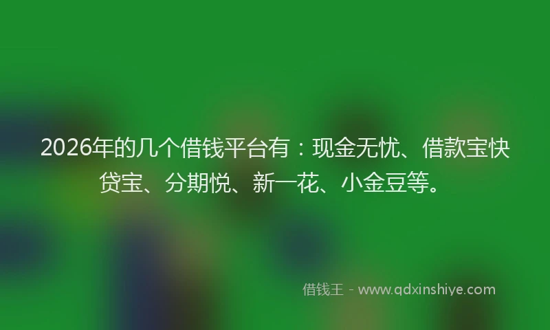 2026年的几个借钱平台有：现金无忧、借款宝快贷宝、分期悦、新一花、小金豆等。