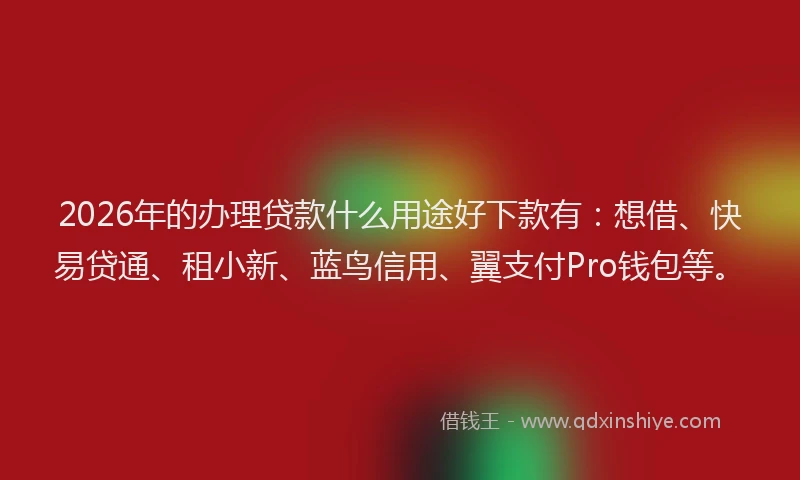 2026年的办理贷款什么用途好下款有：想借、快易贷通、租小新、蓝鸟信用、翼支付Pro钱包等。