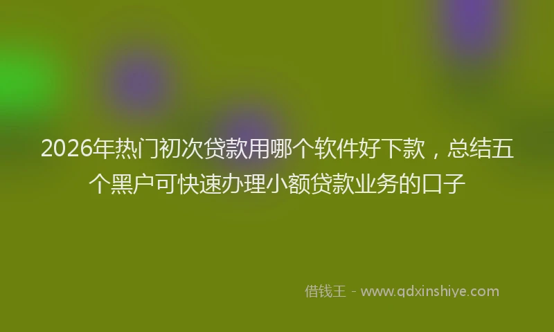 2026年热门初次贷款用哪个软件好下款，总结五个黑户可快速办理小额贷款业务的口子