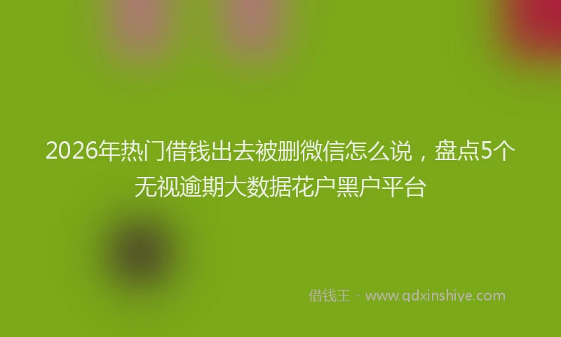 2026年热门借钱出去被删微信怎么说，盘点5个无视逾期大数据花户黑户平台