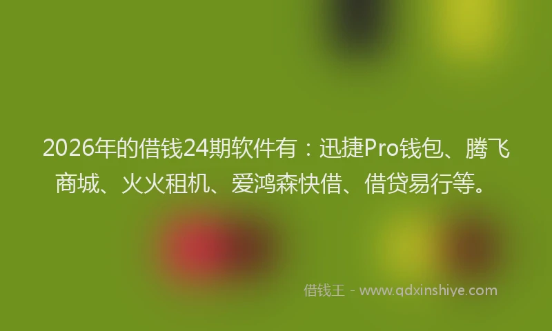 2026年的借钱24期软件有：迅捷Pro钱包、腾飞商城、火火租机、爱鸿森快借、借贷易行等。