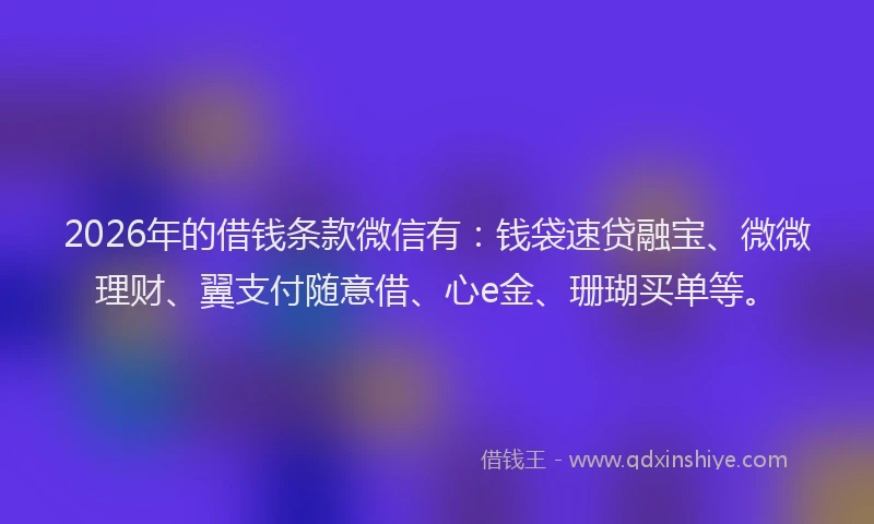 2026年的借钱条款微信有：钱袋速贷融宝、微微理财、翼支付随意借、心e金、珊瑚买单等。