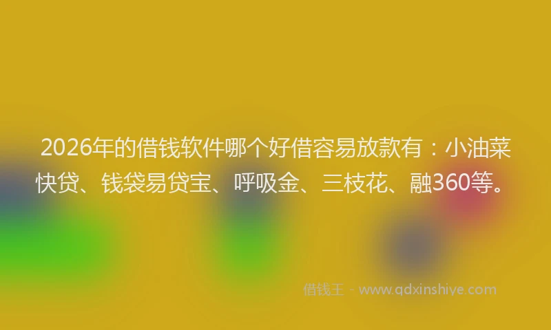 2026年的借钱软件哪个好借容易放款有：小油菜快贷、钱袋易贷宝、呼吸金、三枝花、融360等。