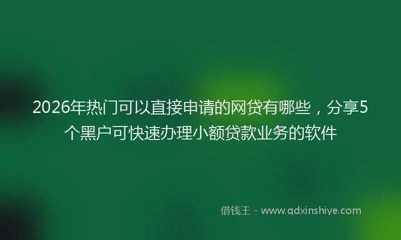 2026年热门可以直接申请的网贷有哪些，分享5个黑户可快速办理小额贷款业务的软件