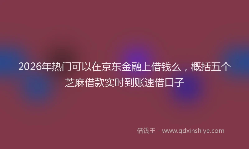 2026年热门可以在京东金融上借钱么，概括五个芝麻借款实时到账速借口子