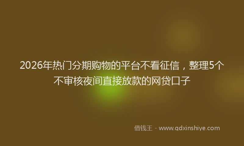2026年热门分期购物的平台不看征信，整理5个不审核夜间直接放款的网贷口子