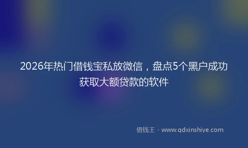 2026年热门借钱宝私放微信，盘点5个黑户成功获取大额贷款的软件