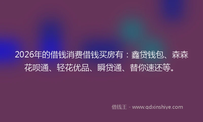 2026年的借钱消费借钱买房有：鑫贷钱包、森森花呗通、轻花优品、瞬贷通、替你速还等。