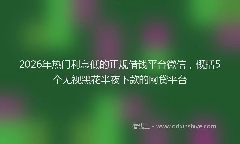 2026年热门利息低的正规借钱平台微信，概括5个无视黑花半夜下款的网贷平台