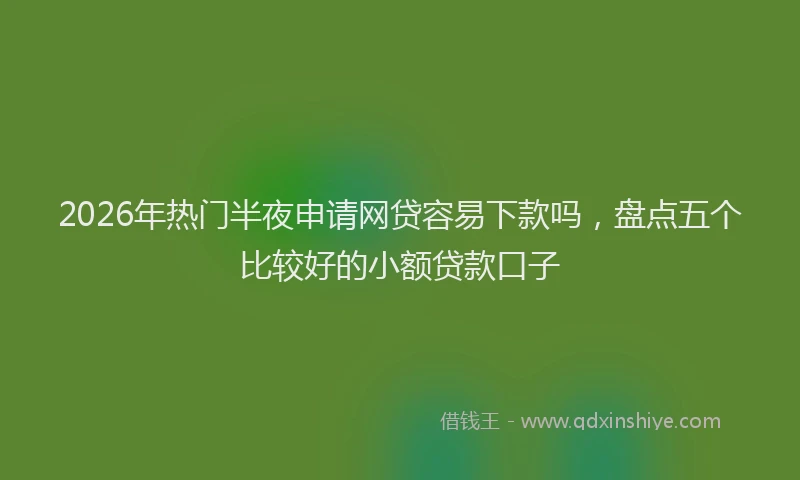 2026年热门半夜申请网贷容易下款吗，盘点五个比较好的小额贷款口子