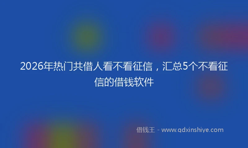 2026年热门共借人看不看征信，汇总5个不看征信的借钱软件