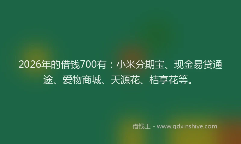 2026年的借钱700有：小米分期宝、现金易贷通途、爱物商城、天源花、桔享花等。